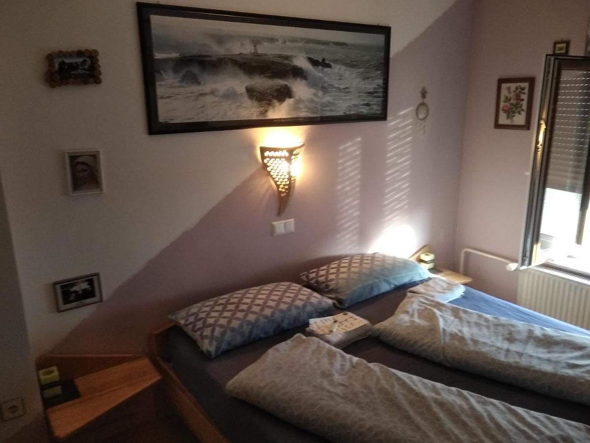 Apartmán Michoart Lublaň Exteriér fotografie