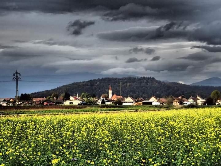 Apartmán Michoart Lublaň Exteriér fotografie